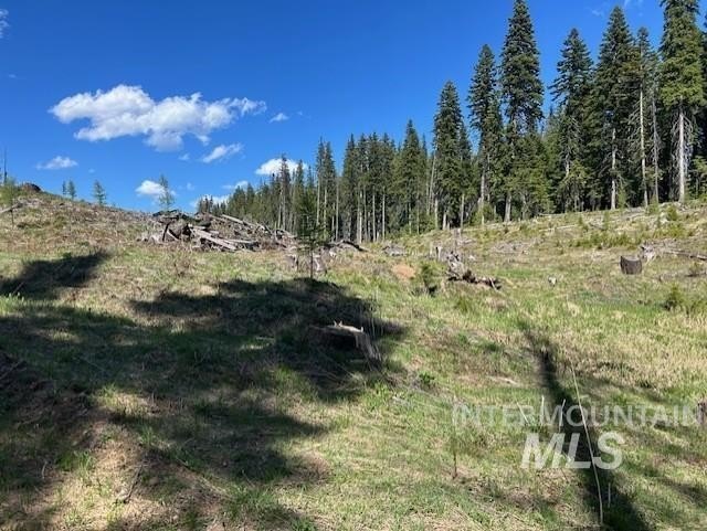 333 French Gulch Parcel 3