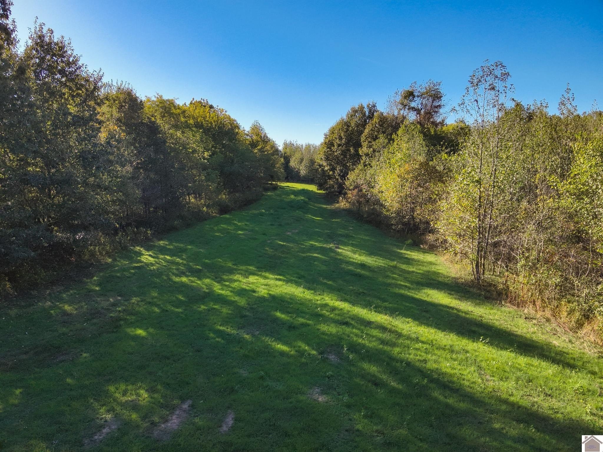 Other - 115 County Road 1039, Bardwell, KY