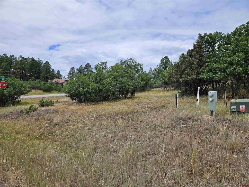 Single Family - 8 Caballero Drive, Pagosa Springs, CO