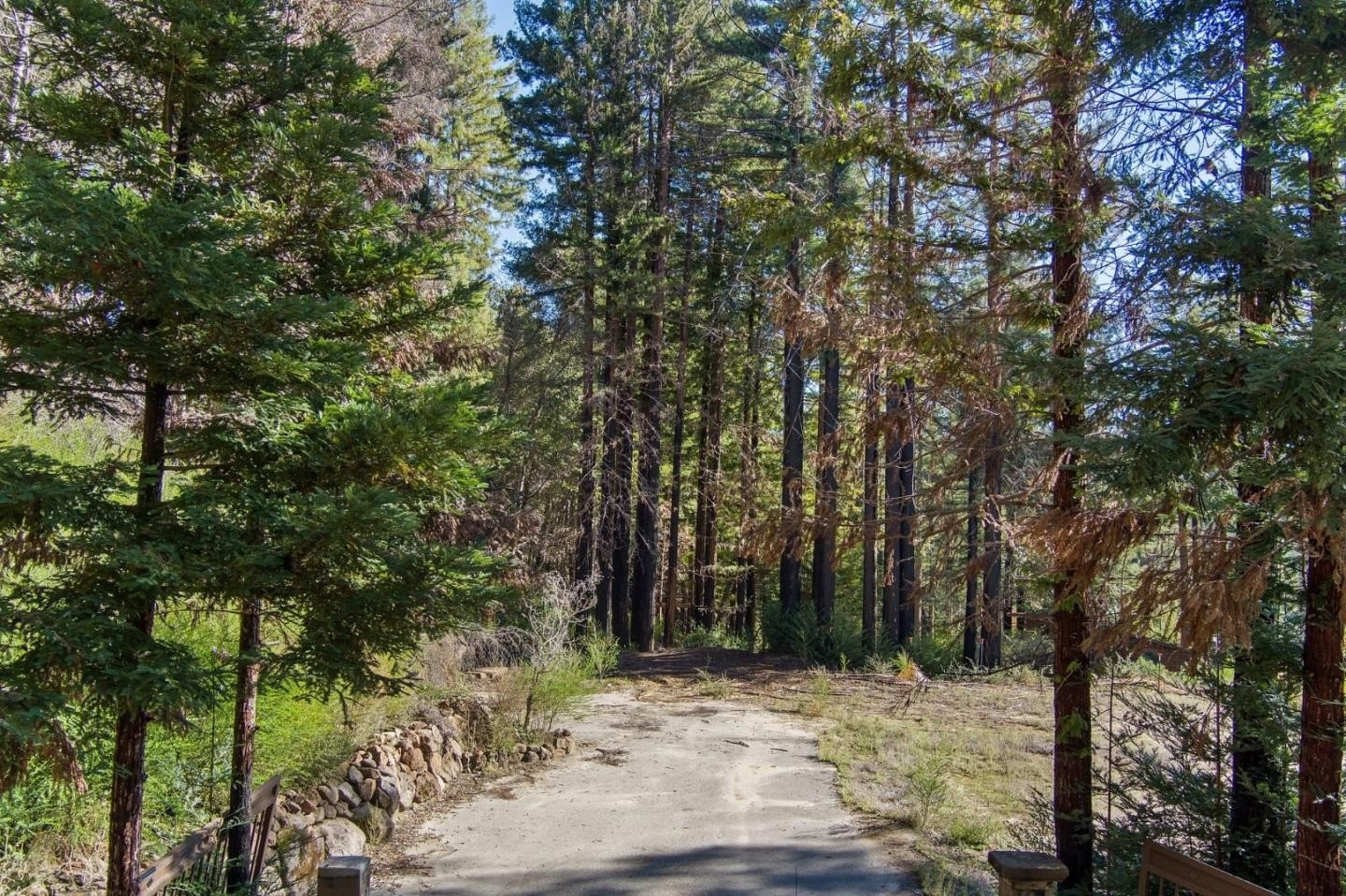 Single Family 3BR 2BA - 282 Hill Top CT, BOULDER CREEK, CA