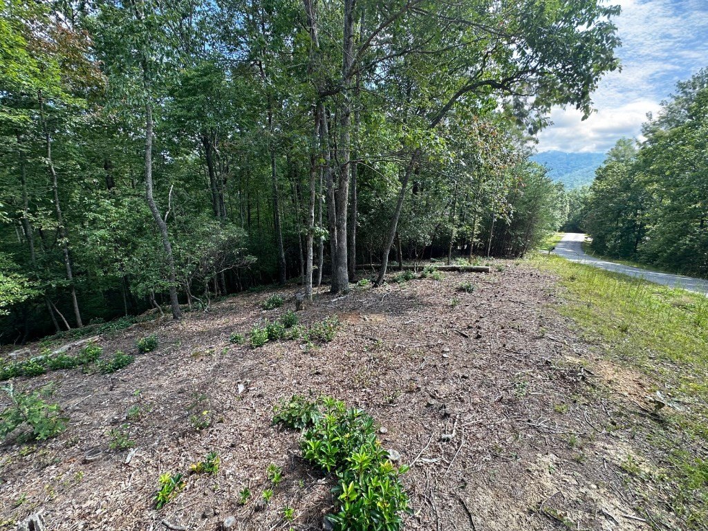 Other - Lot 57 Asheland Cove Drive, Young Harris, GA