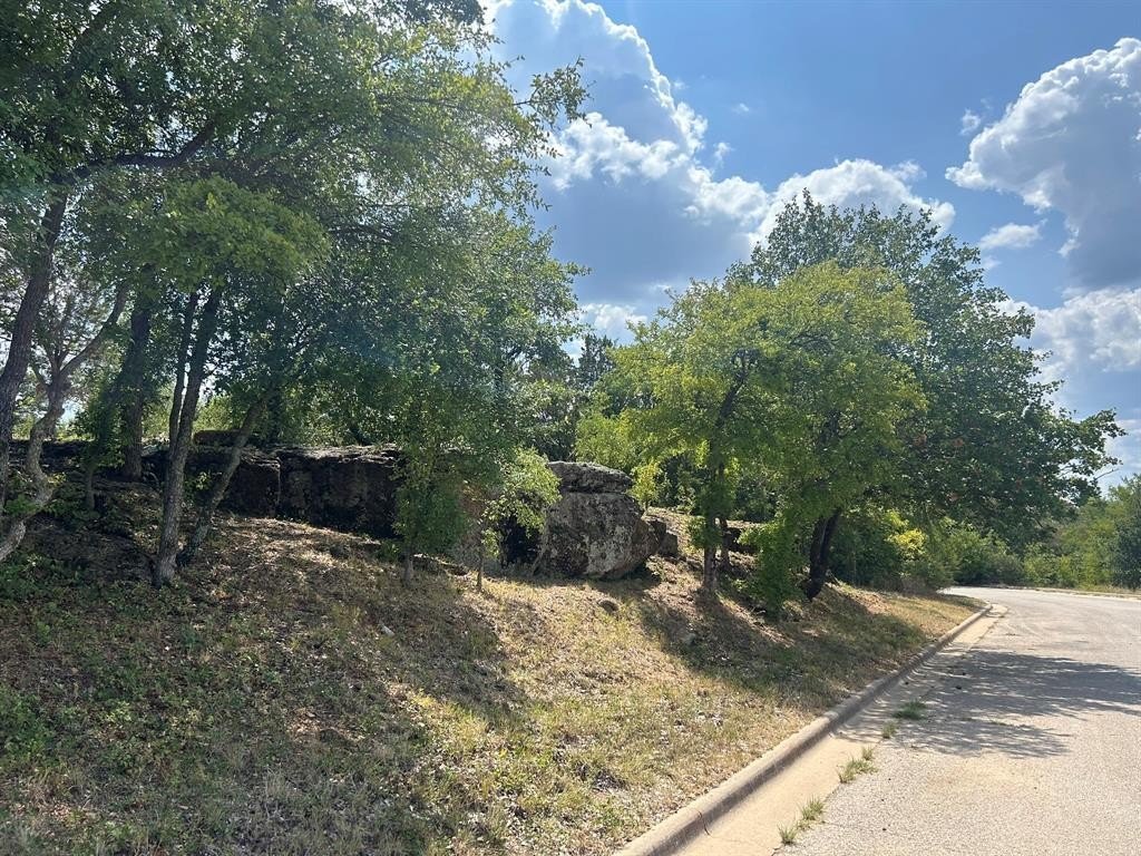 Other - 1406 Willow Wood Court, Graham, TX