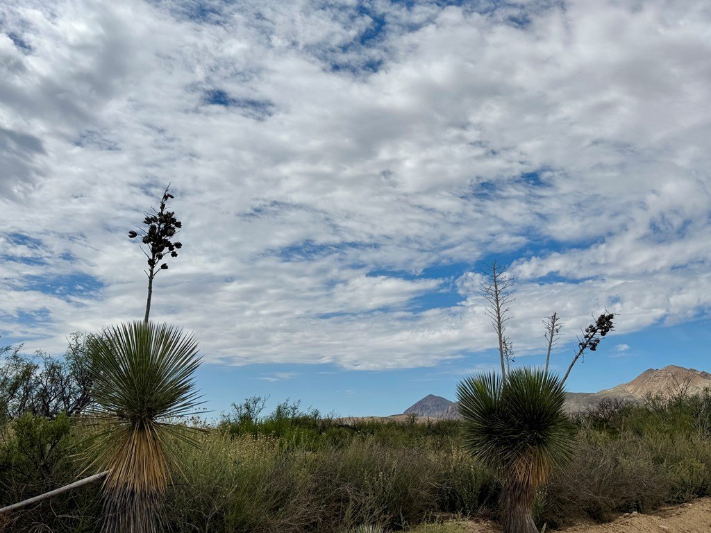 Other - TR NC901 Highlander Rd., Terlingua, TX