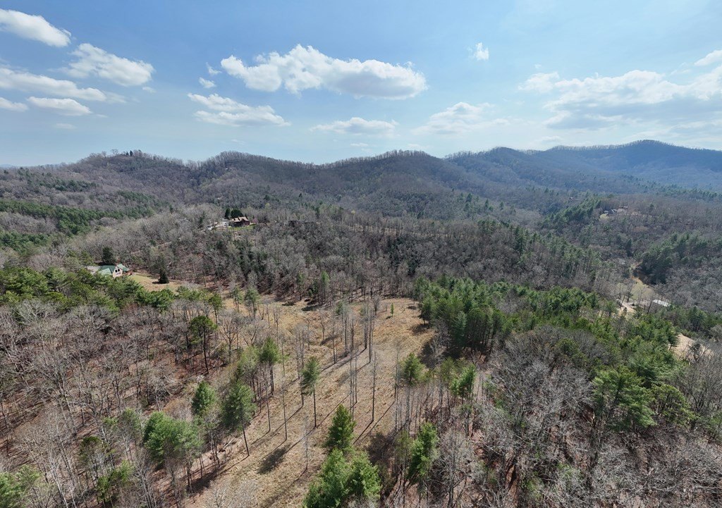 Other - 8.43 Ac River Cove Lane, Hayesville, NC