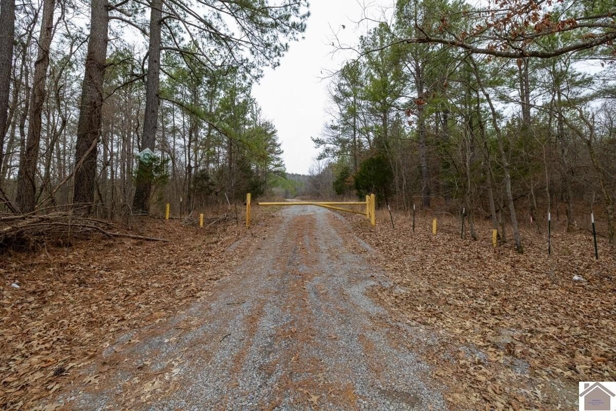 Plots and Land - 000 Cedar Grove Road, Salem, KY