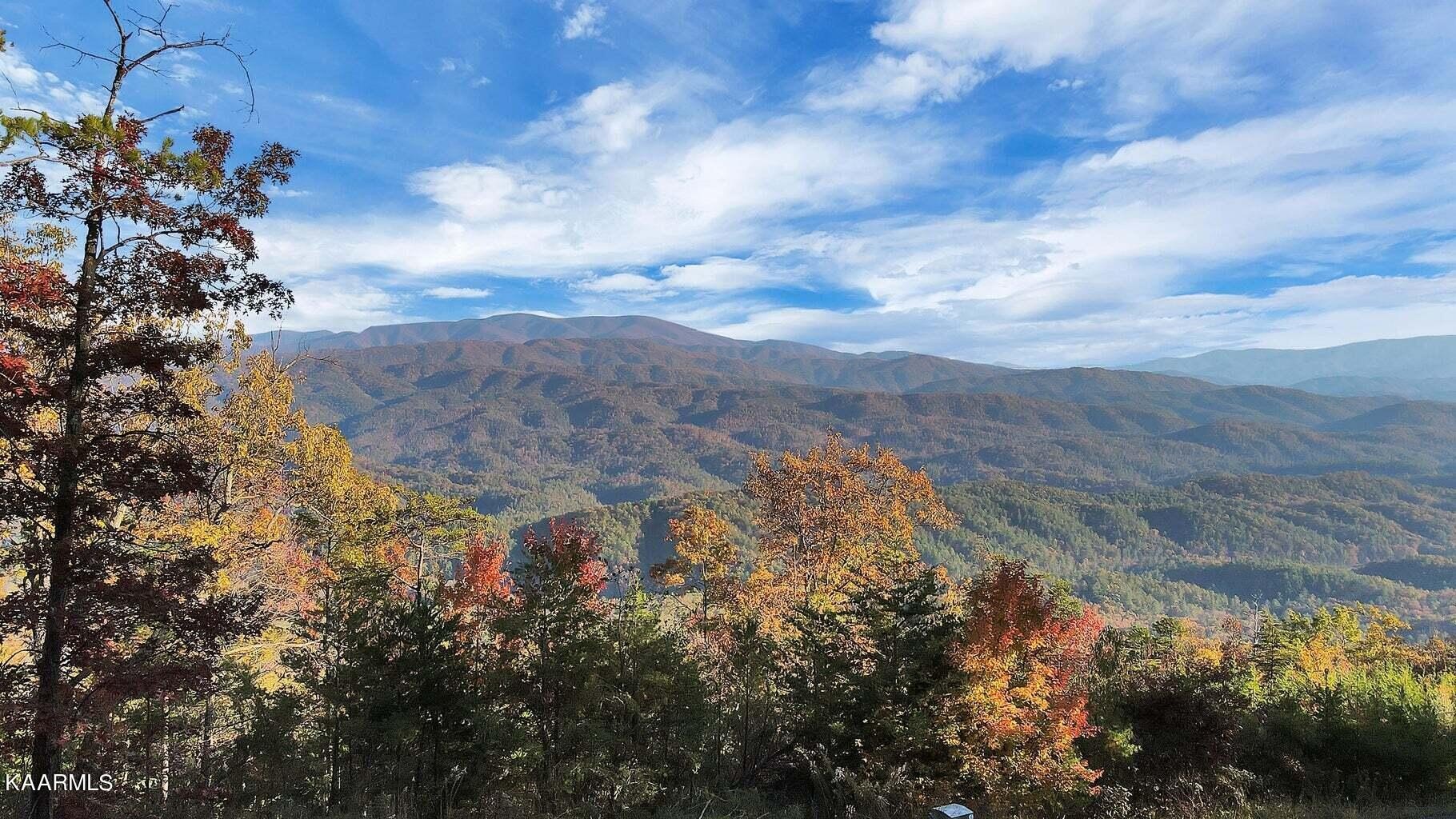 Other - Tract 29R4 Chilhowee Mountain Tr, Maryville, TN