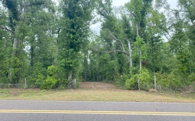 Other - TBD CR 132, Live Oak, FL