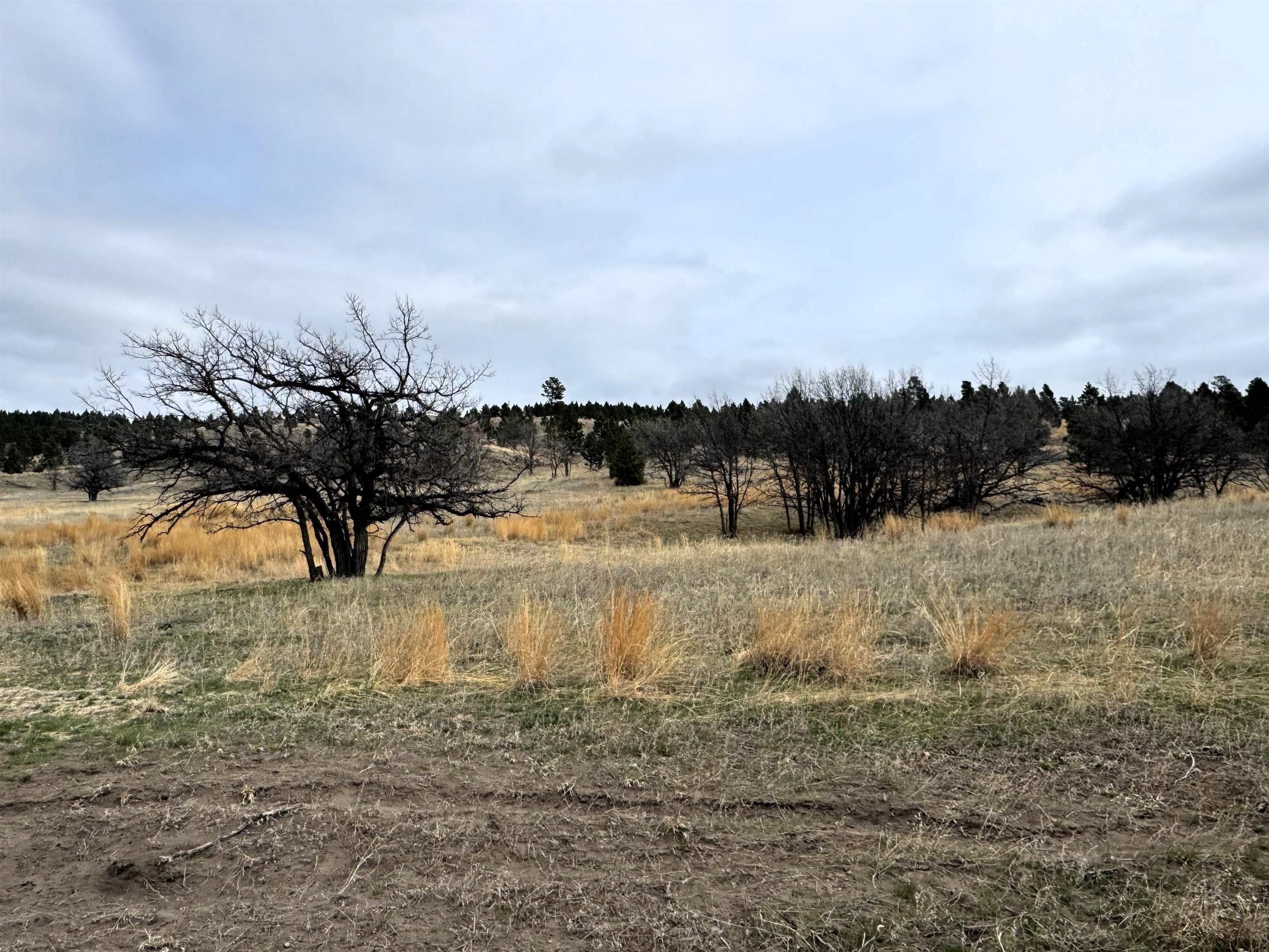 Other - Tract 2, Oshoto, WY