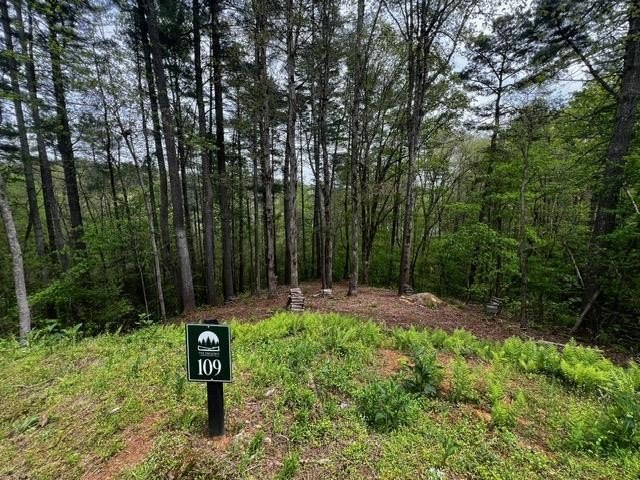 Other - 109r Red Oak Trail, Ellijay, GA