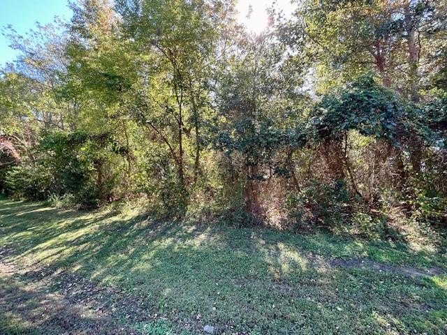 Single Family - Lot 41 Chesapeake Drive, Heathsville, VA