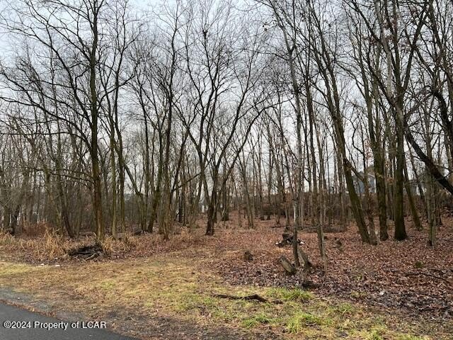 Other - 14 Pinewood Drive, Laflin, PA