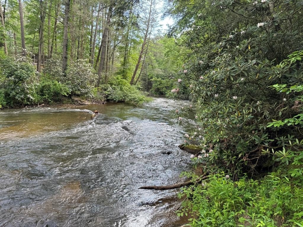 Other - Lot 61 White Pine Trail, Suches, GA