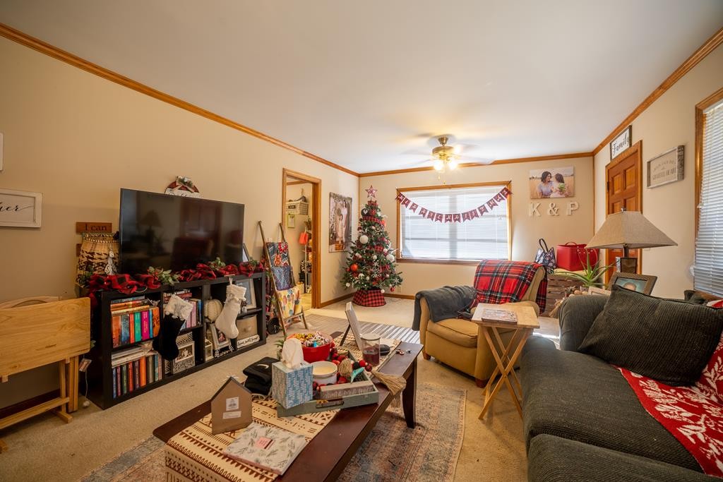 Other 6BR 5BA - 387 NE Main Street, Franklin, NC