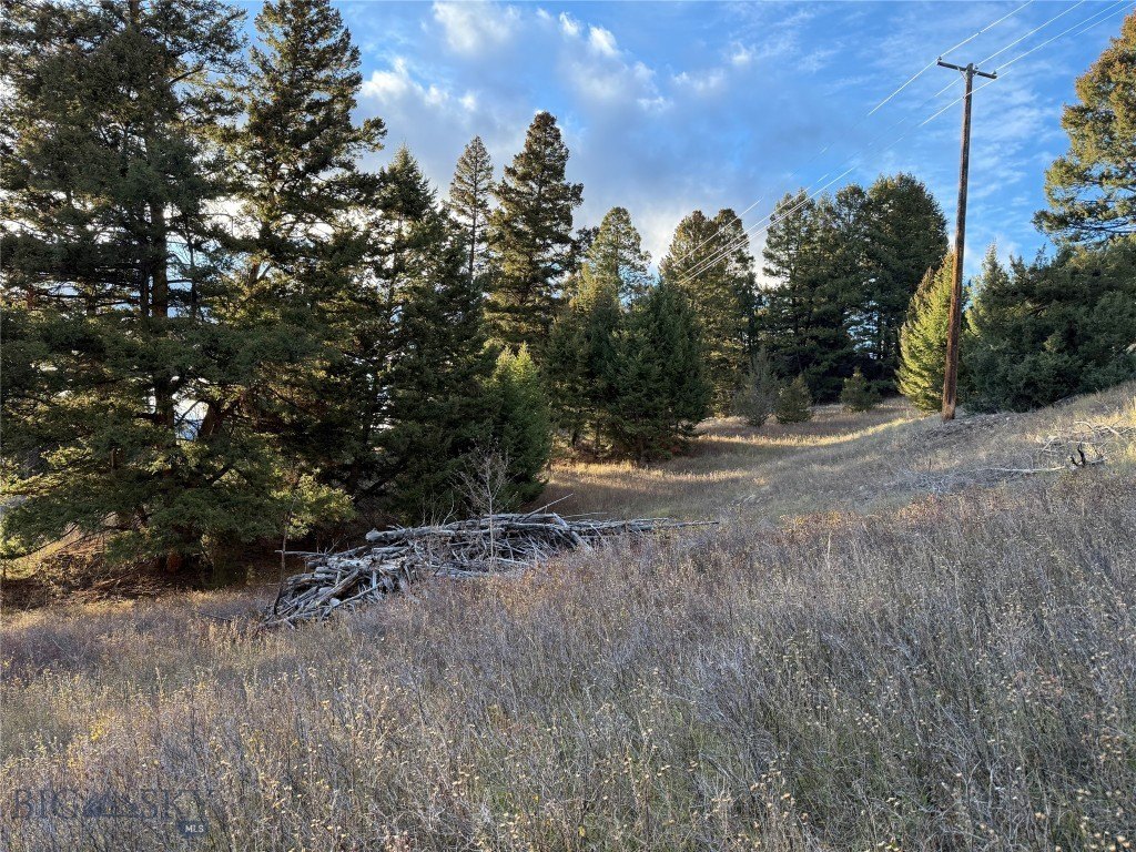 Plots and Land - Lot 4 Scranton Lode, Philipsburg, MT