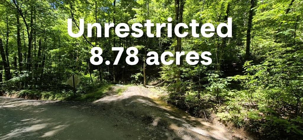 Other - Lot 28 Laurel Ridge, Ellijay, GA