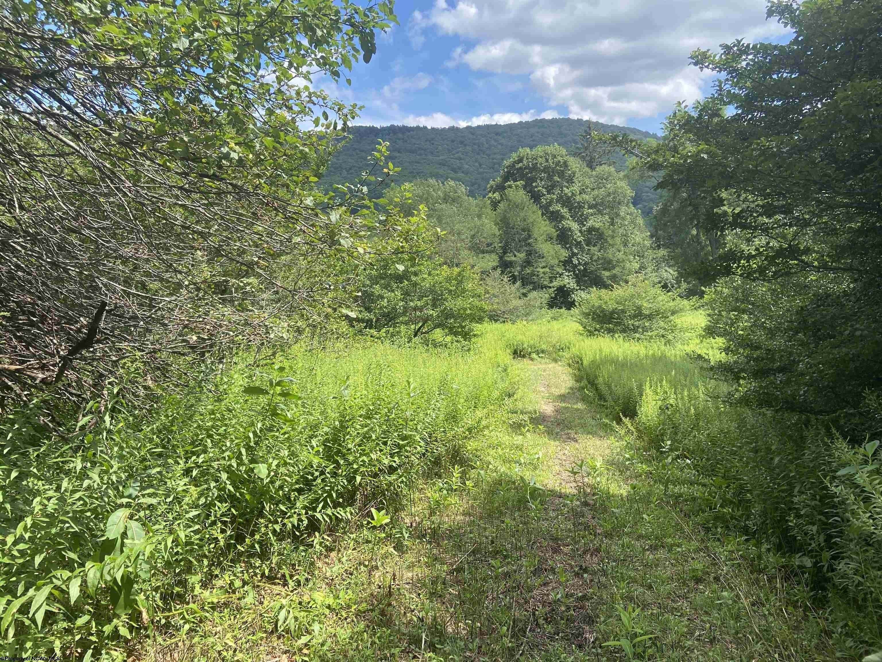 Other - Lot 135 Sunset Mountain Village Drive, Slaty Fork, WV