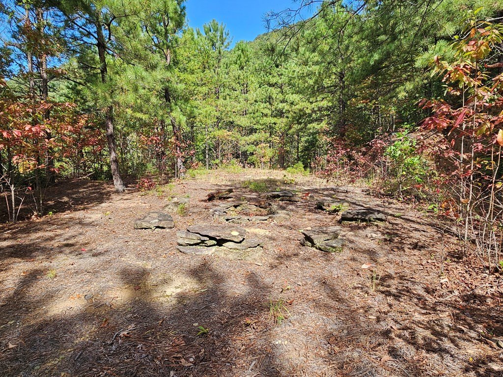 Other - 288 Deer Path Trail, Franklin, NC