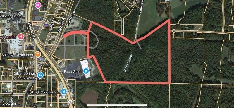 Single Family - 44.36 ac City Ave N, Ripley, MS