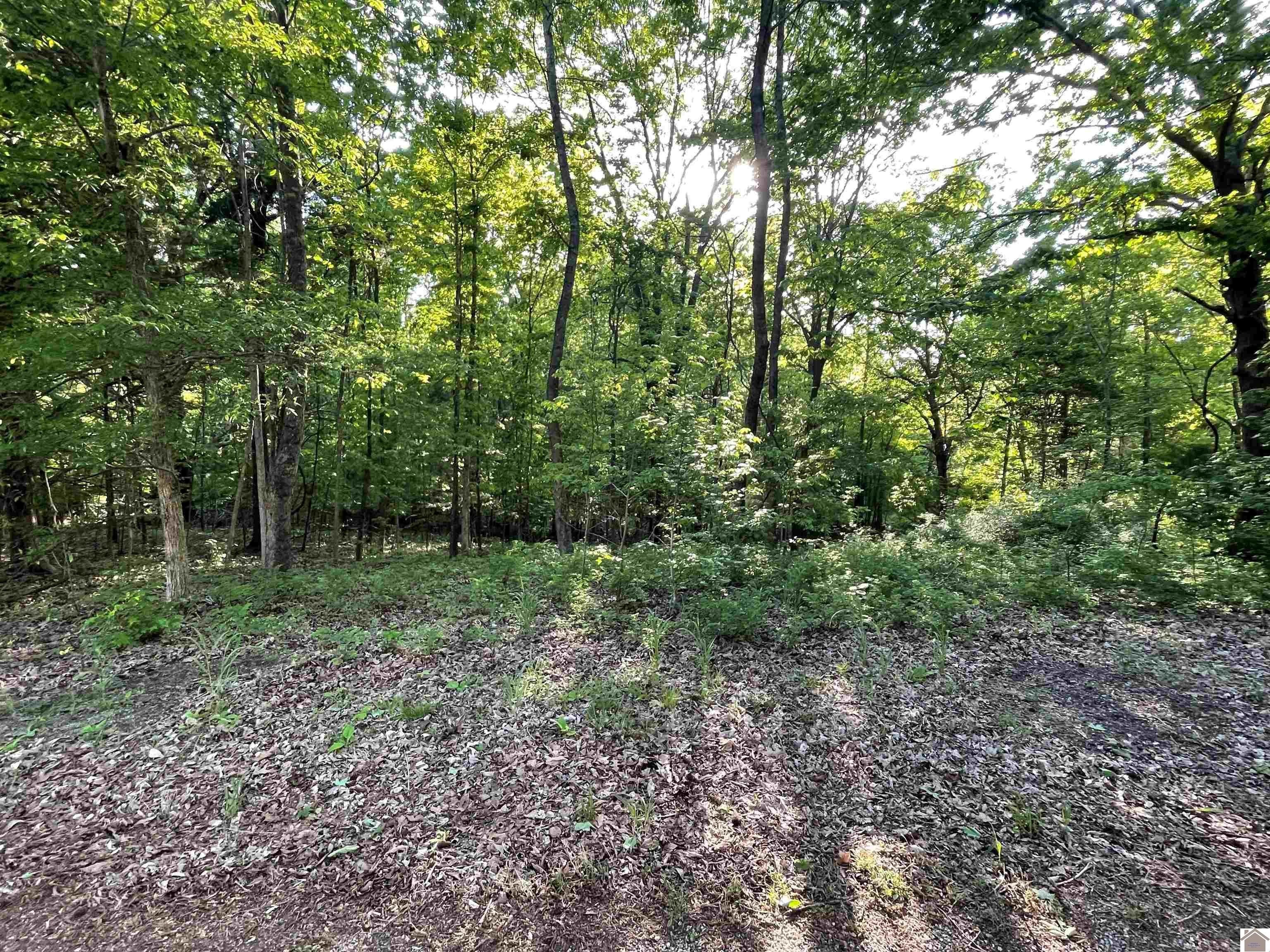 Other - Pines Circle lot: 14X,15X,16X, Cadiz, KY