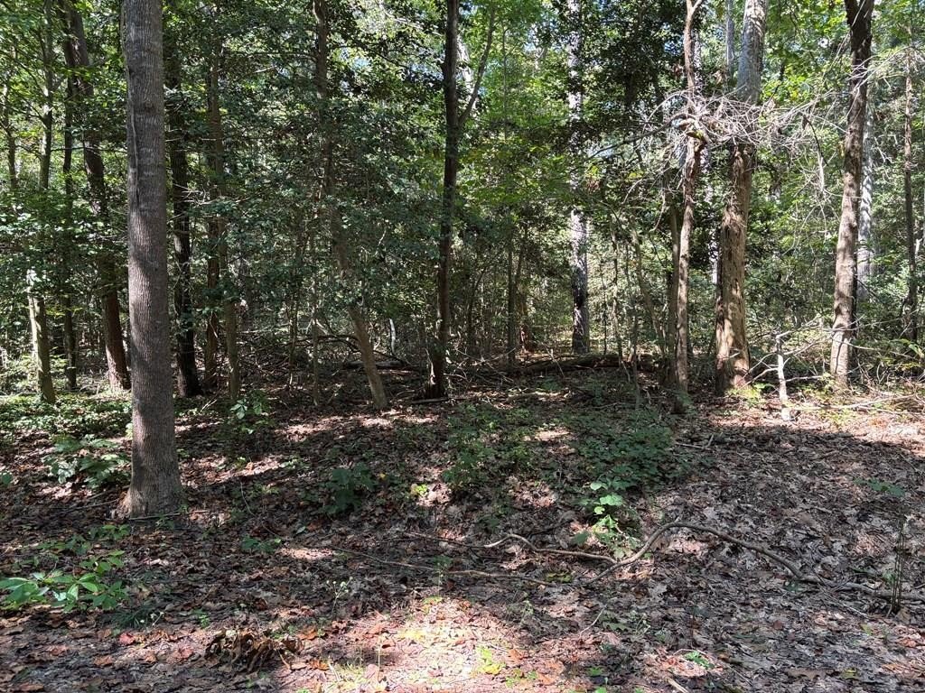 Single Family - 47E Hickory Hill Lane, Lancaster, VA