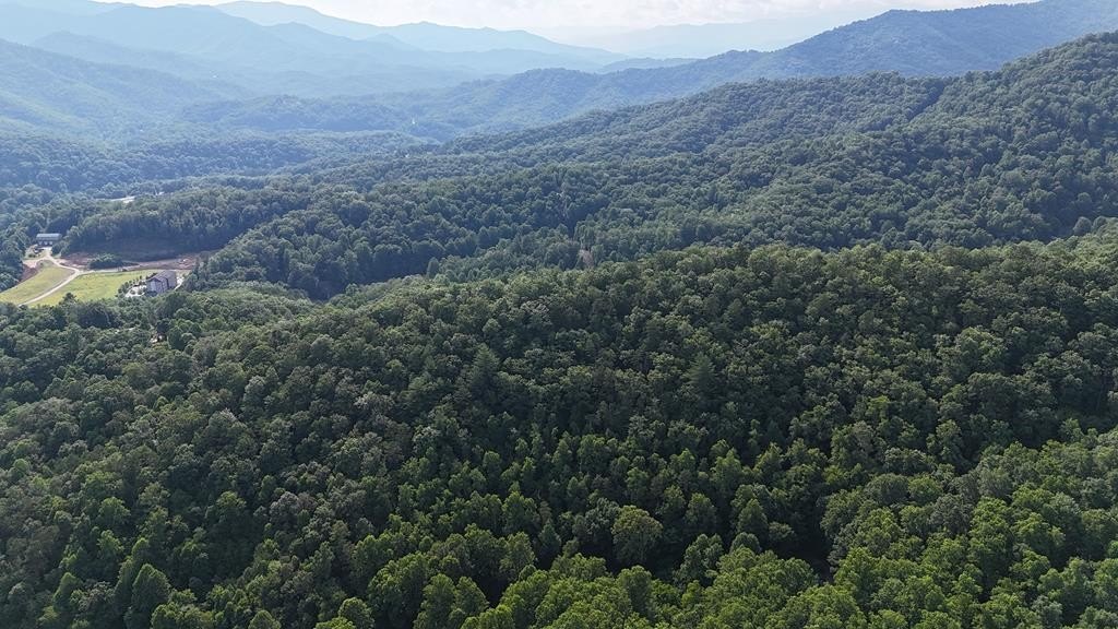 Other - Bart Cove Rd lot: B, Dillsboro, NC
