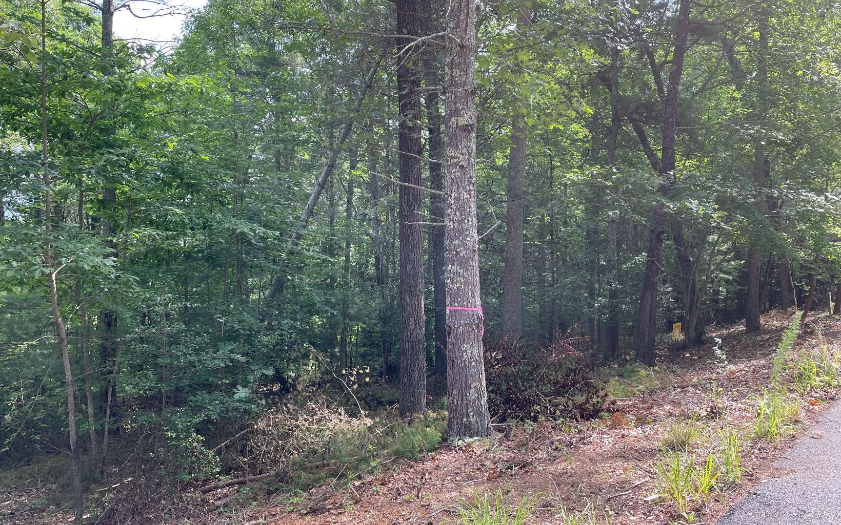 Other - Lot13 Sour Apple Lane, Blairsville, GA