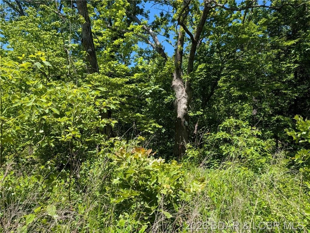 Single Family 1BR 1BA - 12907 Montana Road, Gravois Mills, MO