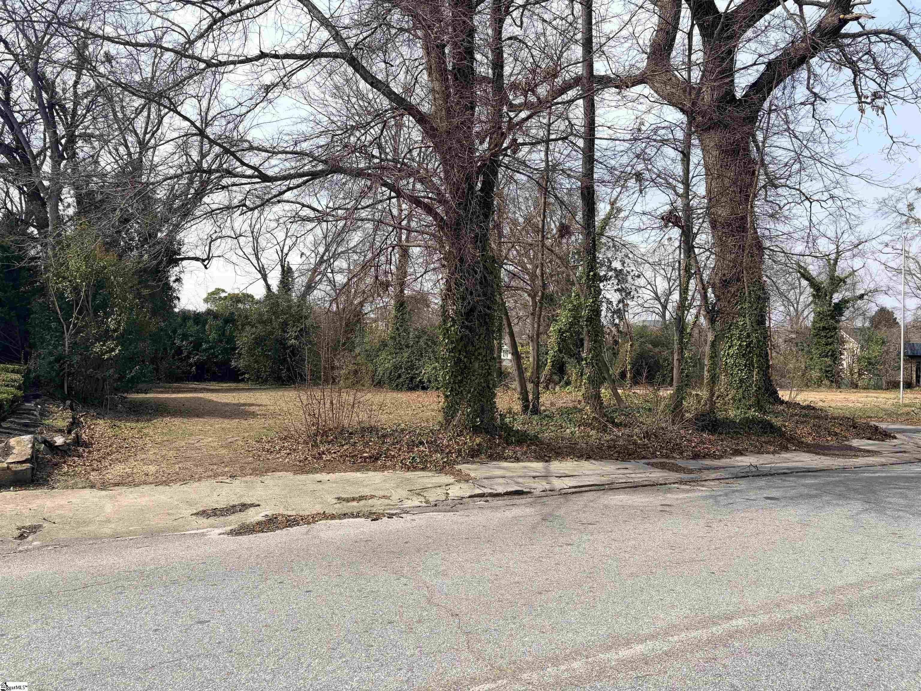Other - 142 Oakland Avenue, Spartanburg, SC