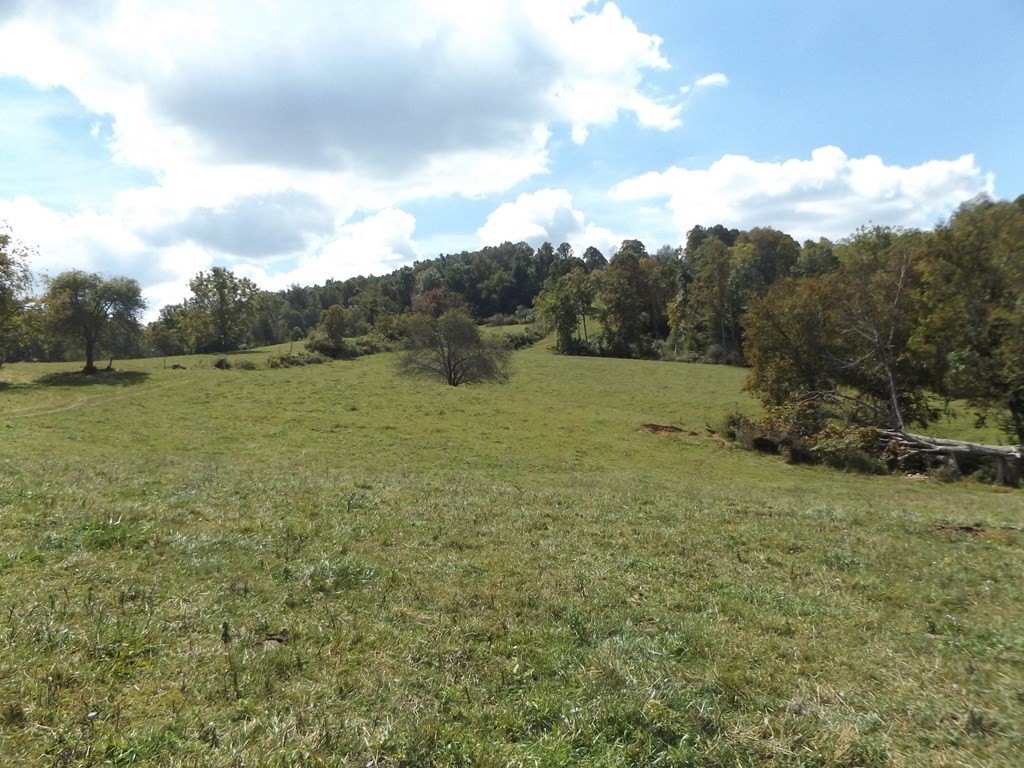 Other - Dugspur Rd. lot: 1, Dugspur, VA