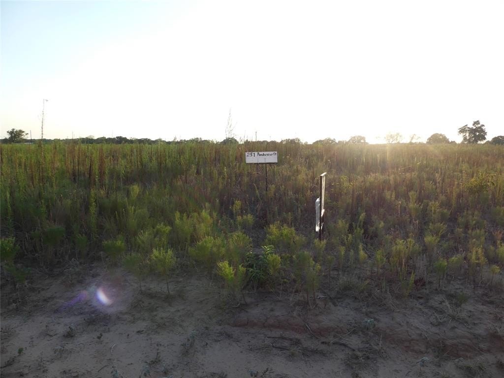 Plots and Land - 251 Pondview Lane, Nocona, TX
