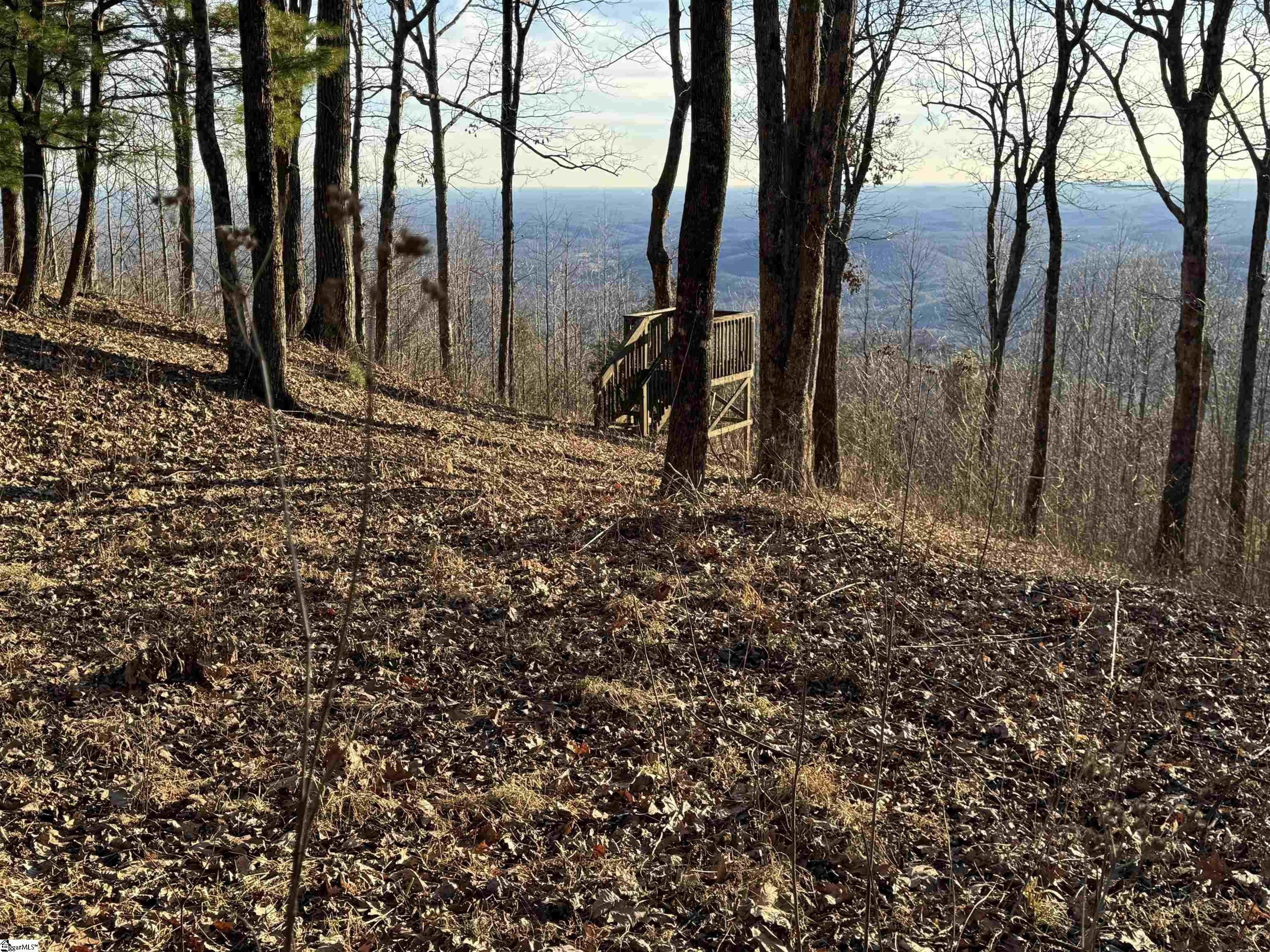 Other - 246 Bella Vista Court, Zirconia, NC
