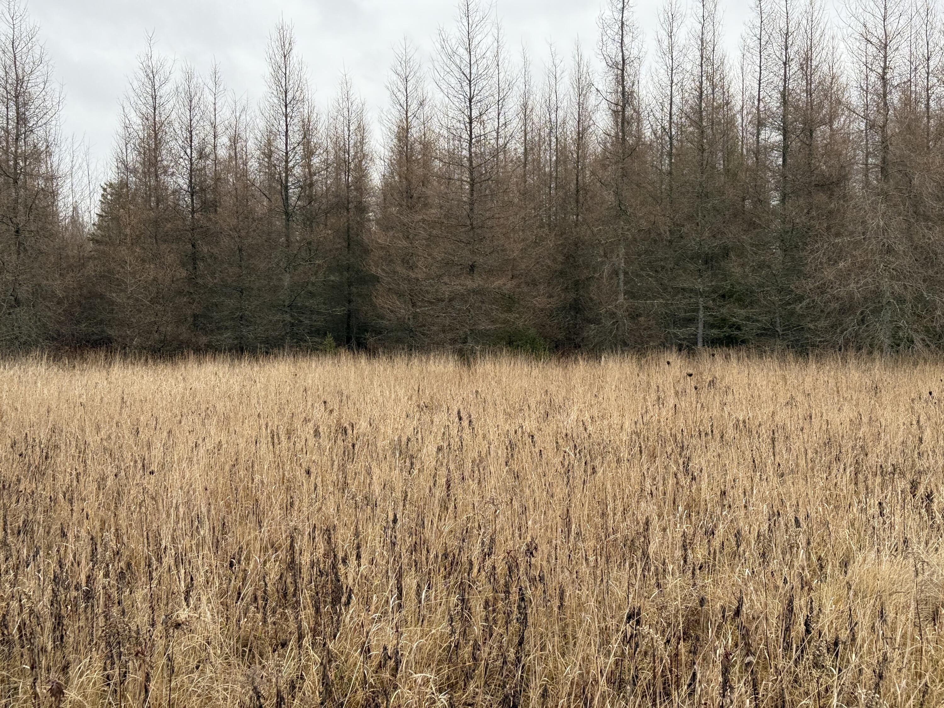 Other - M48, Pickford, MI