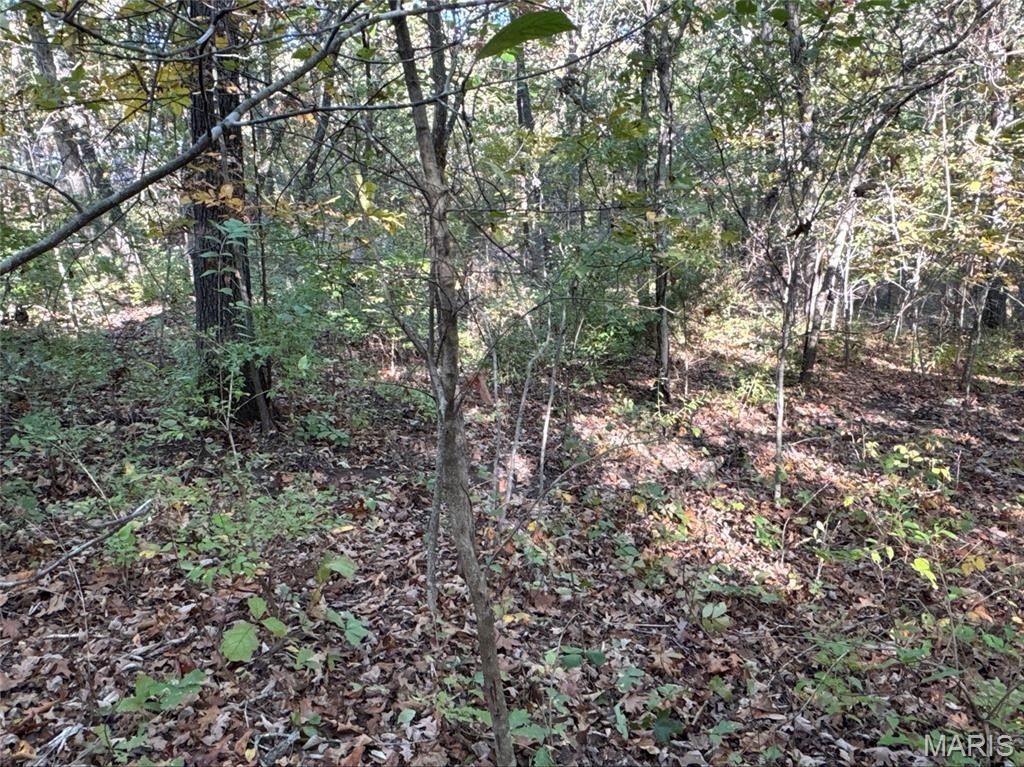 Other - 9754 Brenda Court, Bonne Terre, MO
