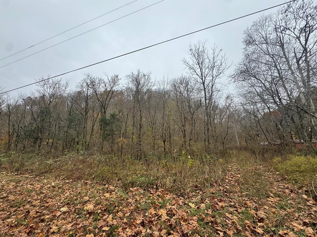 Other - Pine Lick Rd, Whitleyville, TN