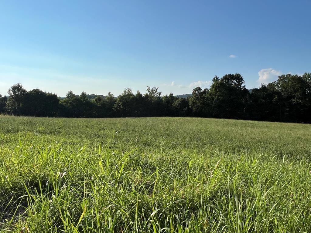 Other - Amonett Circle lot: 26, Byrdstown, TN