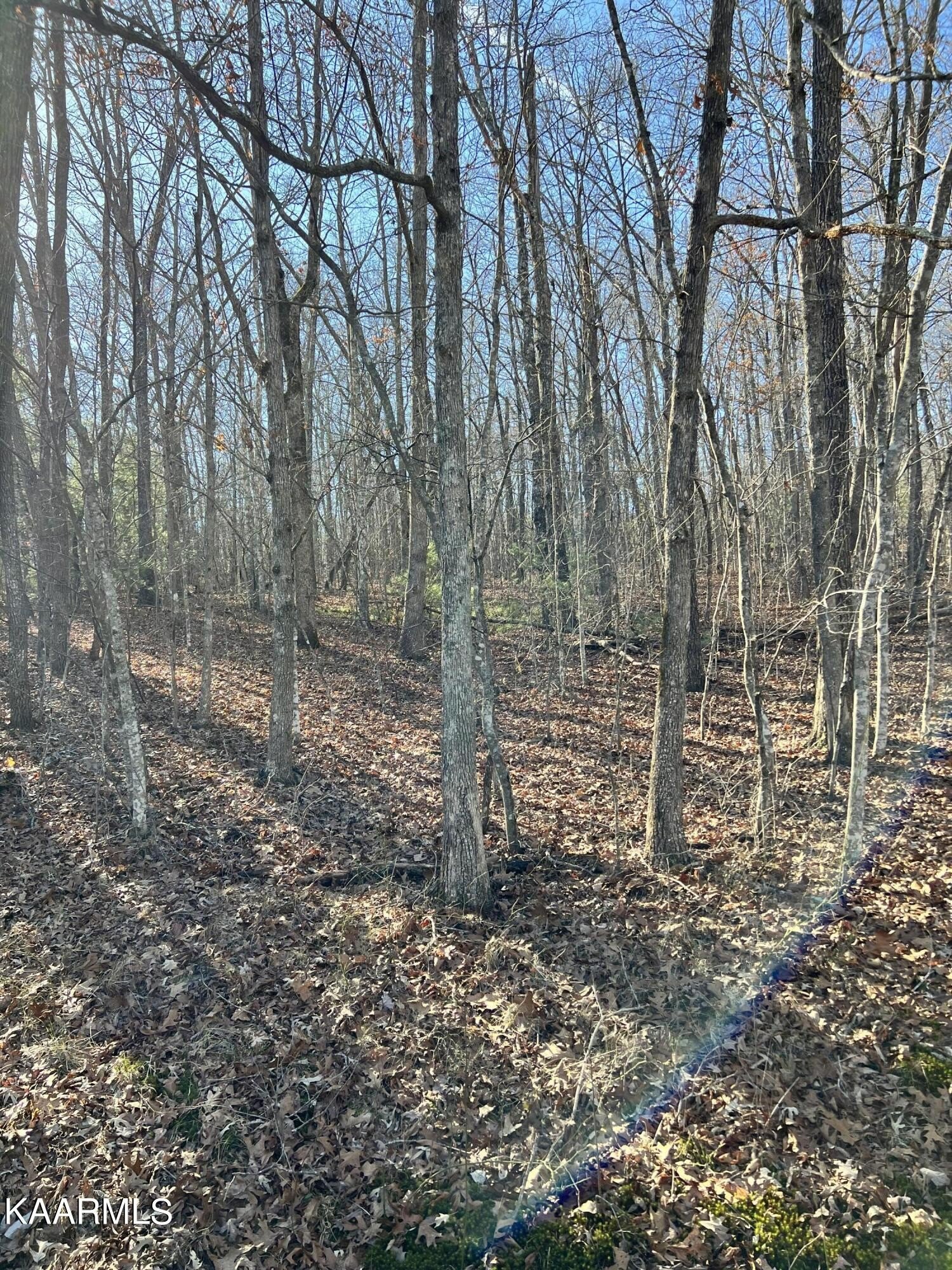 Other - 122 Hunterwood Lane, Crossville, TN