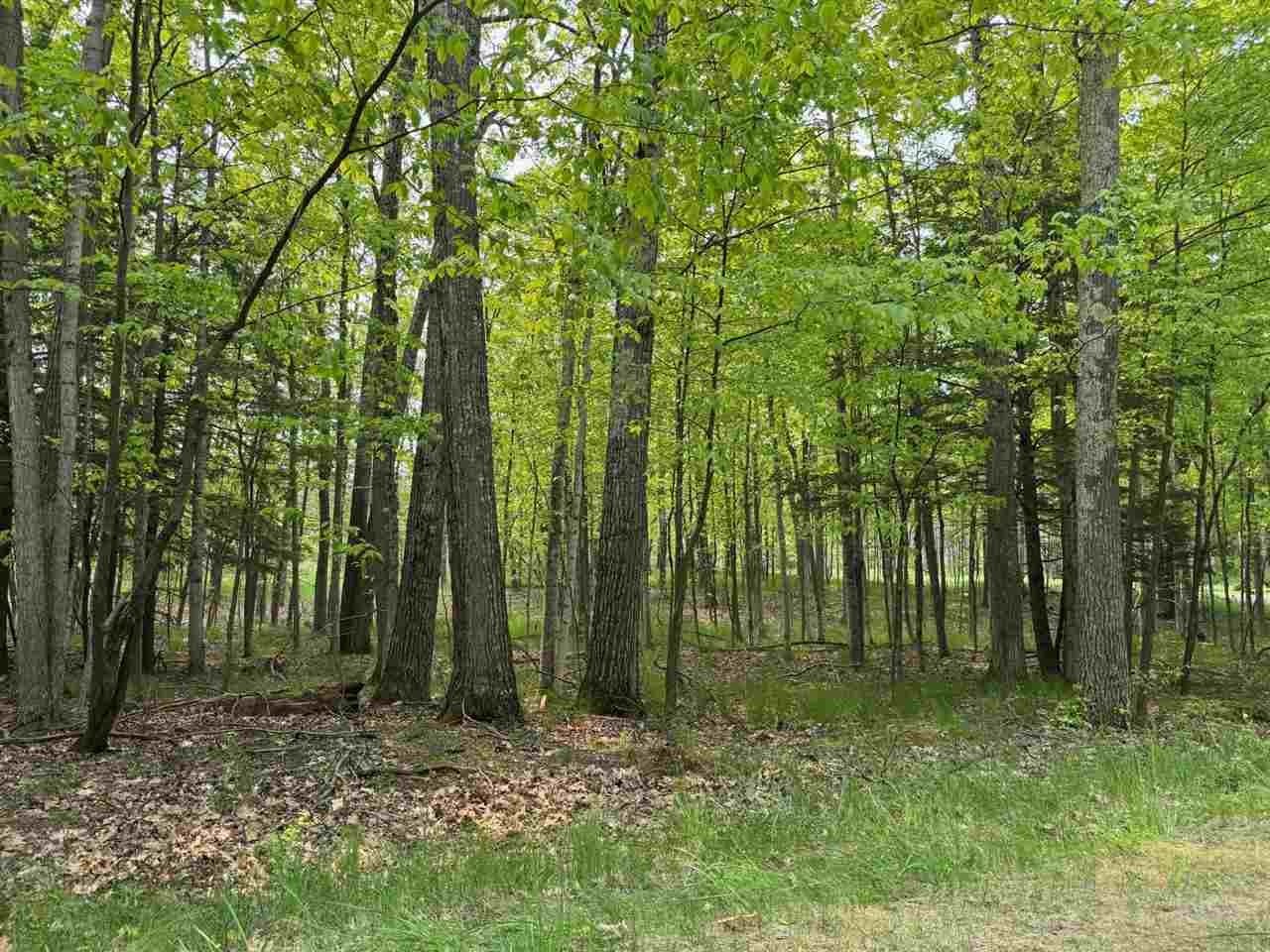 Single Family - 5945 Lodgepole, Harbor Springs, MI