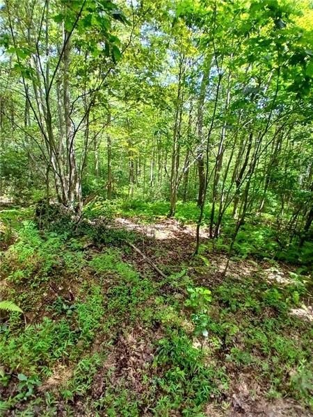 Other - 702 Shepherd Rd, Wharton Twp, PA