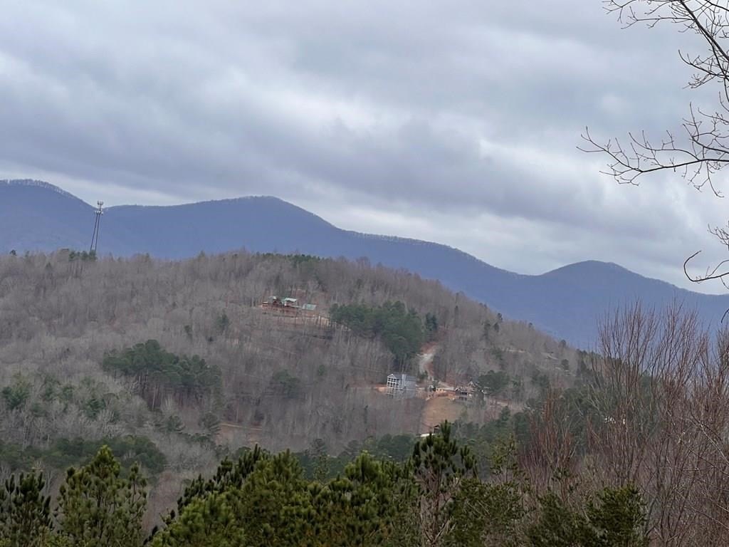 Other - Lot 12 Summit Trace, Blairsville, GA