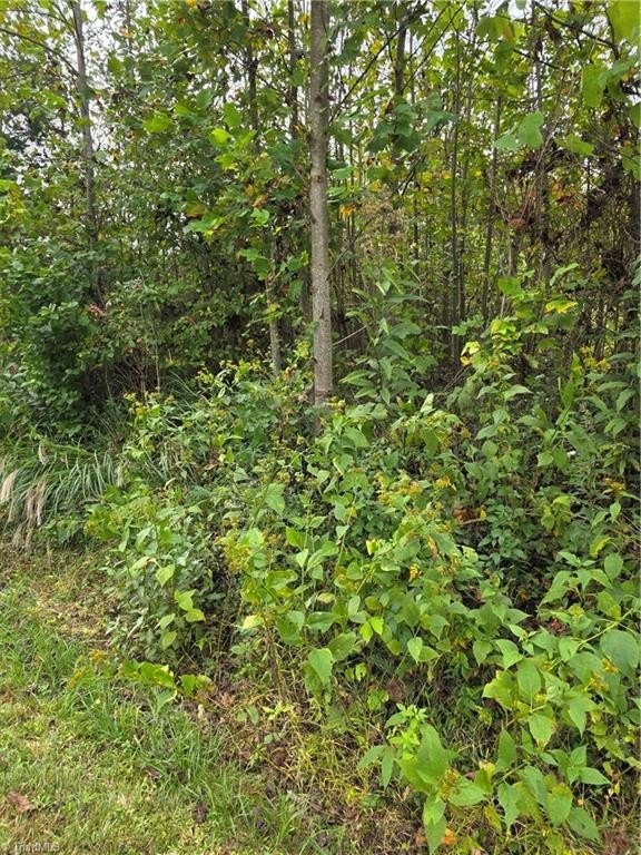 Single Family - Holly Brook Street, North Wilkesboro, NC