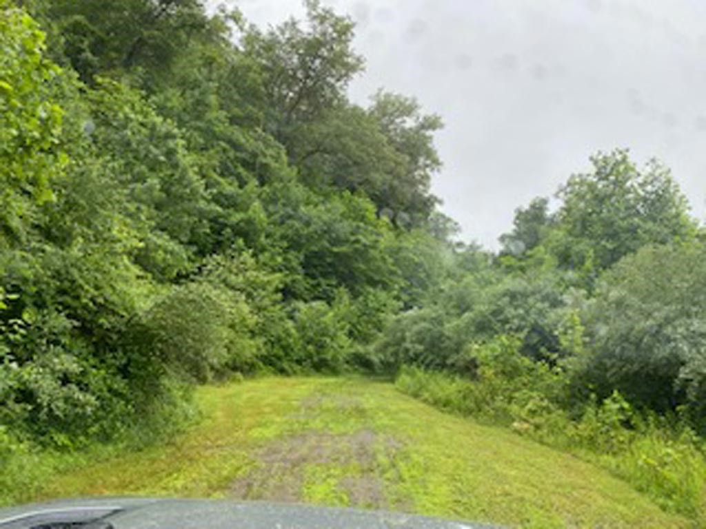 Other - 00 Jennys Fork Lot 5 Map 048-00-00-008.00, Pikeville, KY