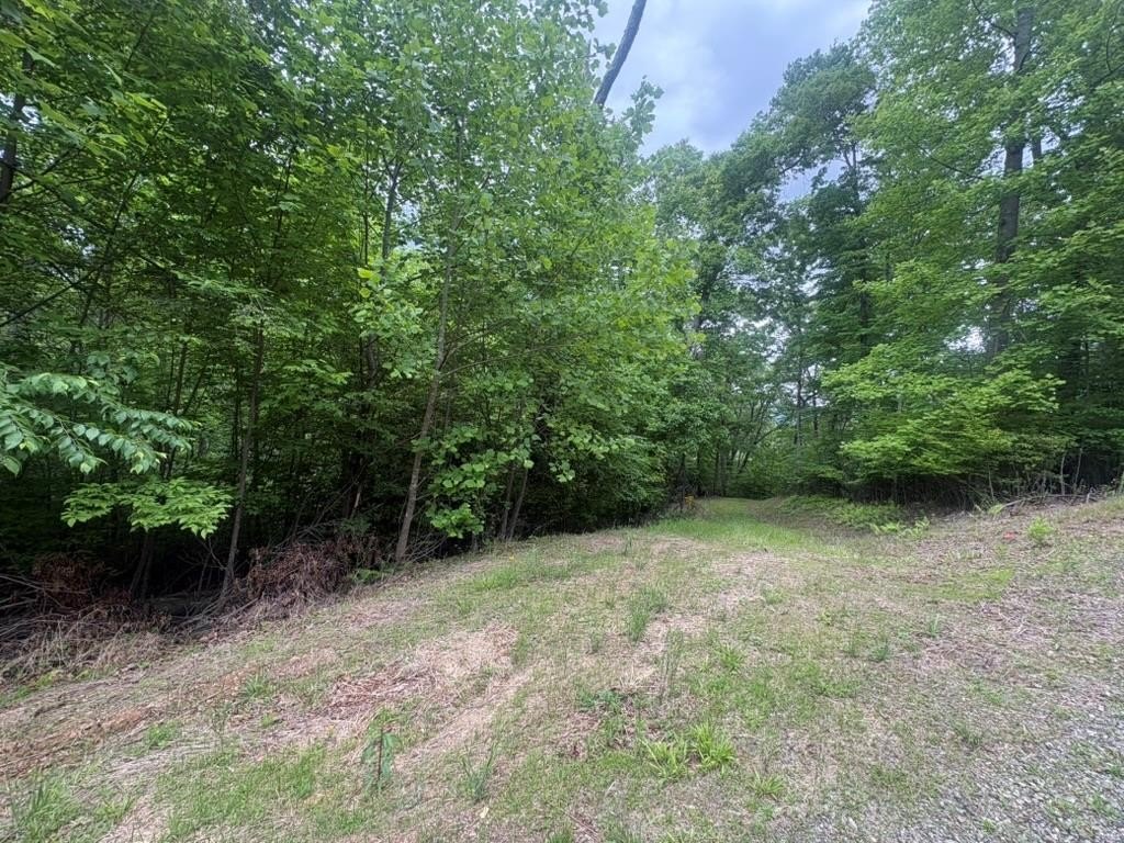Other - Lot 18 Lost River Trail, Hayesville, NC