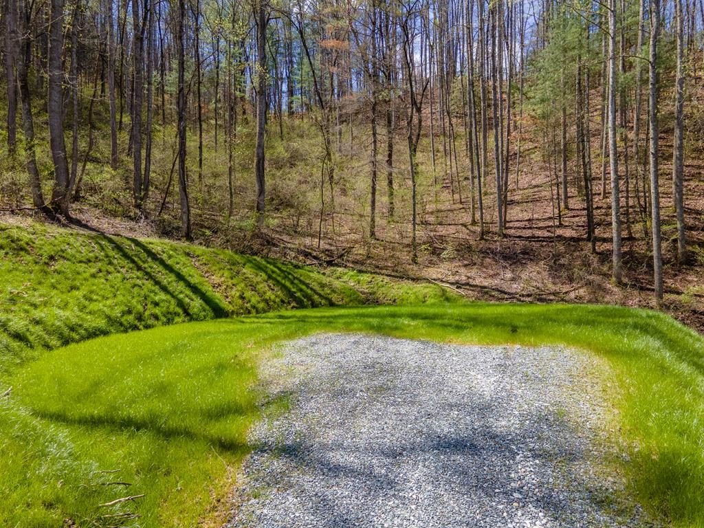 Other - Bryson Gap Preserve lot: 14, Bryson City, NC
