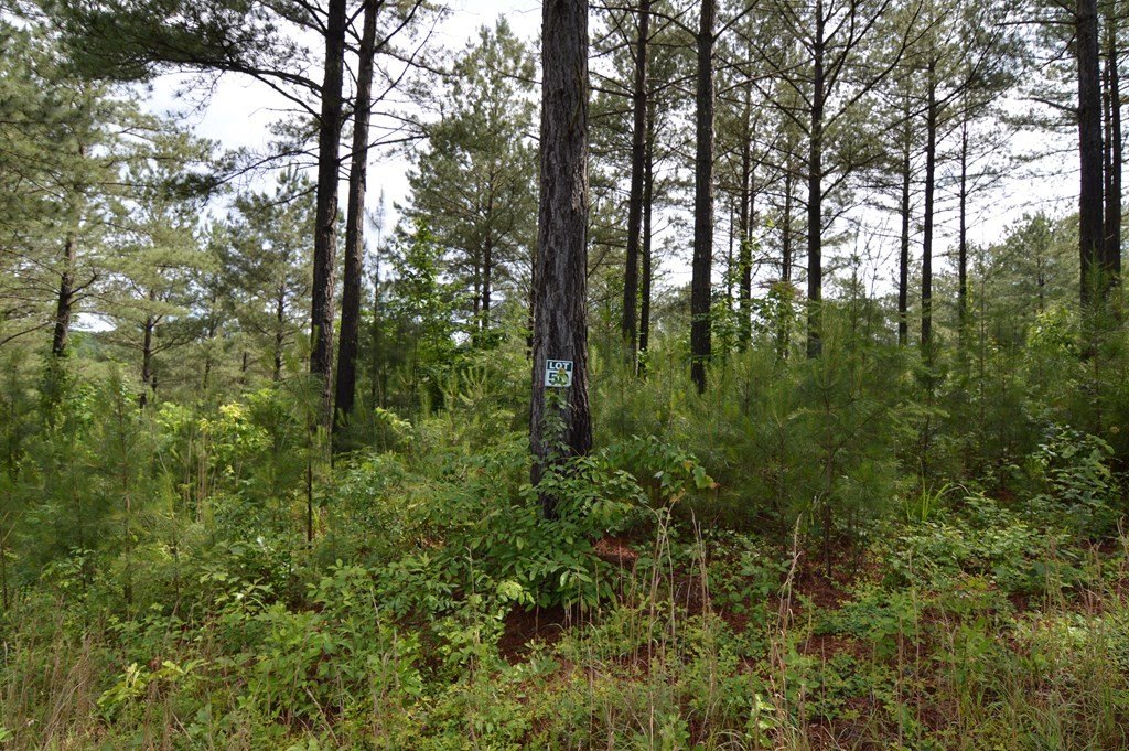 Other - Lot 50 Pine Hurst, BLAIRSVILLE, GA