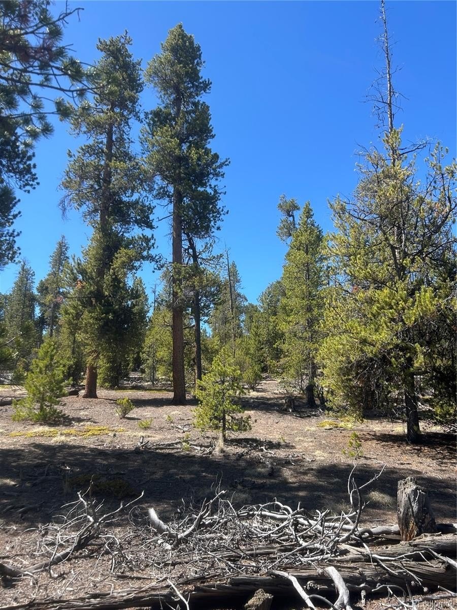 Plots and Land - 266 Ponderosa Drive, Leadville, CO