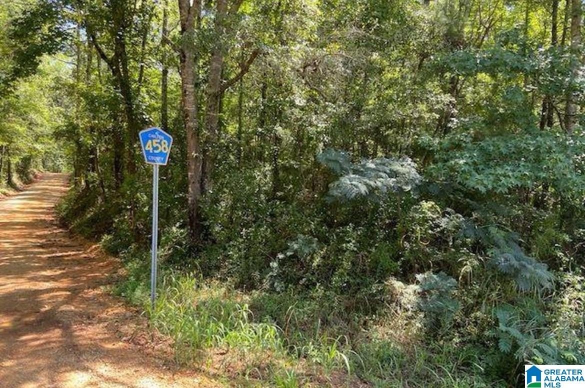 0 county rd 458 CO Rd  