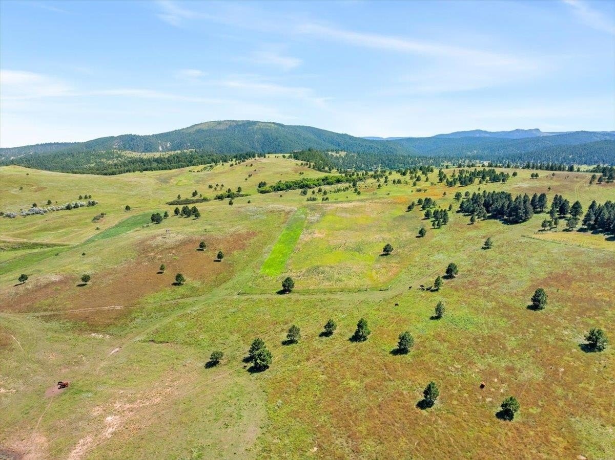 Other - 149.82+/- acres, Whitewood, SD
