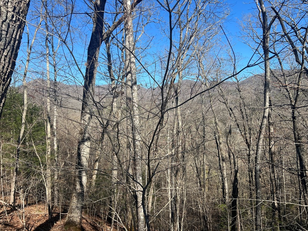 Other - Reserve Rd lot: 36, Franklin, NC