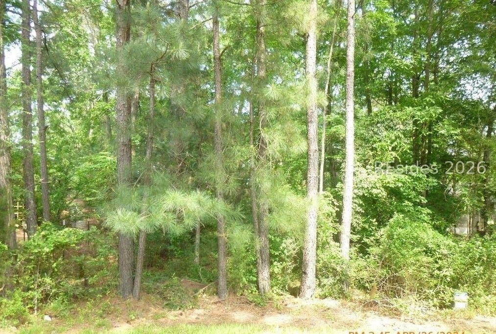 Other - Little River Drive lot: 12 Block 46, McCormick, SC