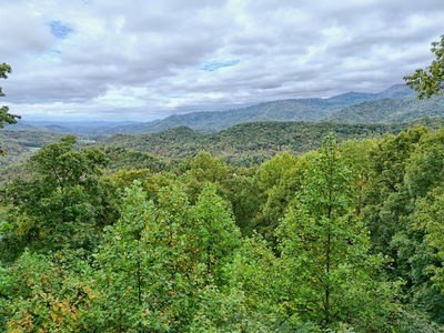 Other - Lot 5 Skyview Drive, HAYESVILLE, NC
